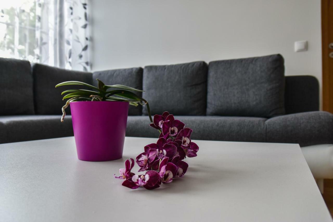 Mardi Downtown Apartment Tallin Zewnętrze zdjęcie